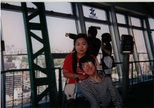 �ʐ^3-1 �ʓV�t���猩�����̊X���o�b�N�ɁB�����ɐ΍�A�E��O��Ray