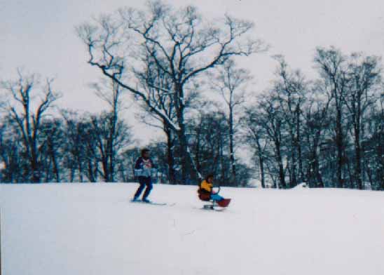 �ʐ^1-7 �����[�A�����Ă邶���