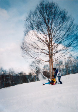 �ʐ^1-8 �؂̉��Ő�ɂ������