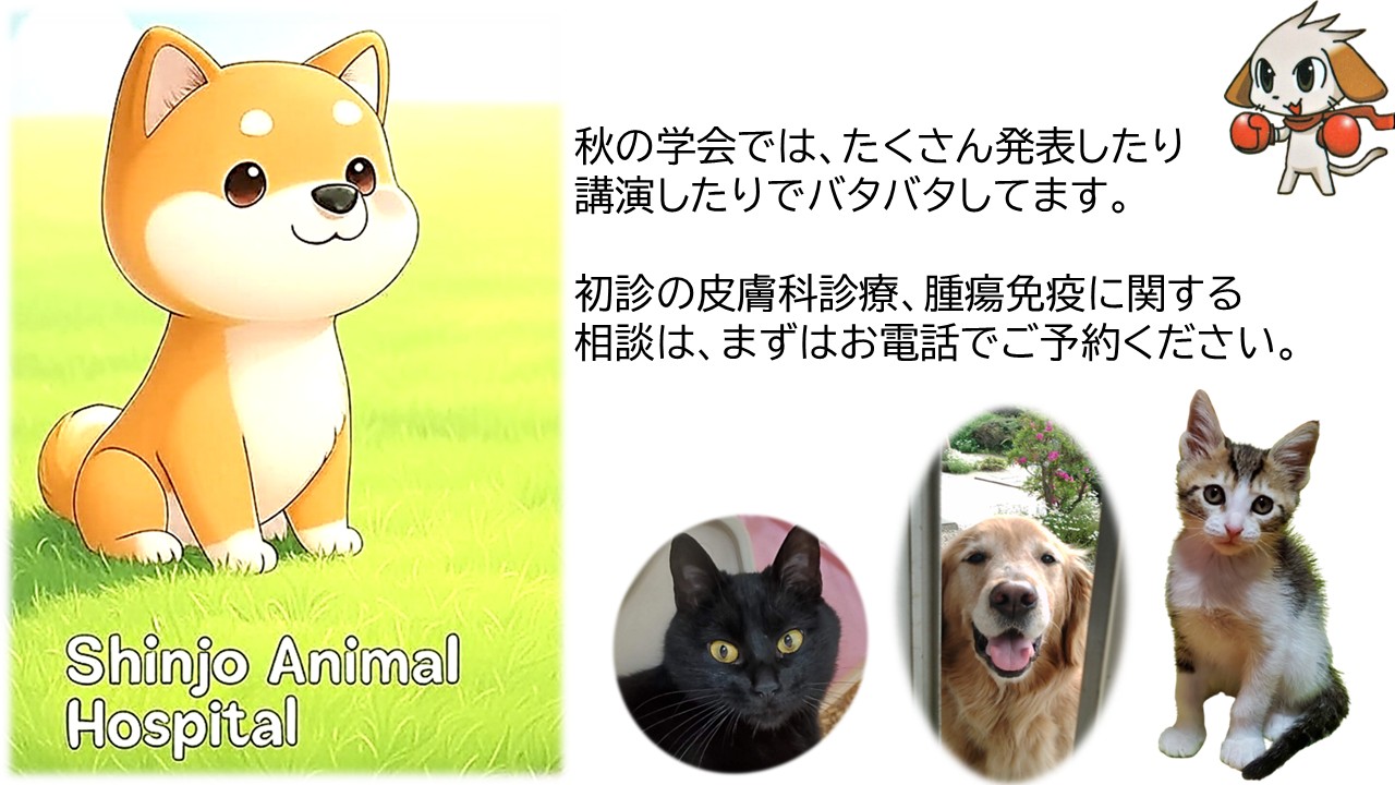 新庄動物病院のバナー