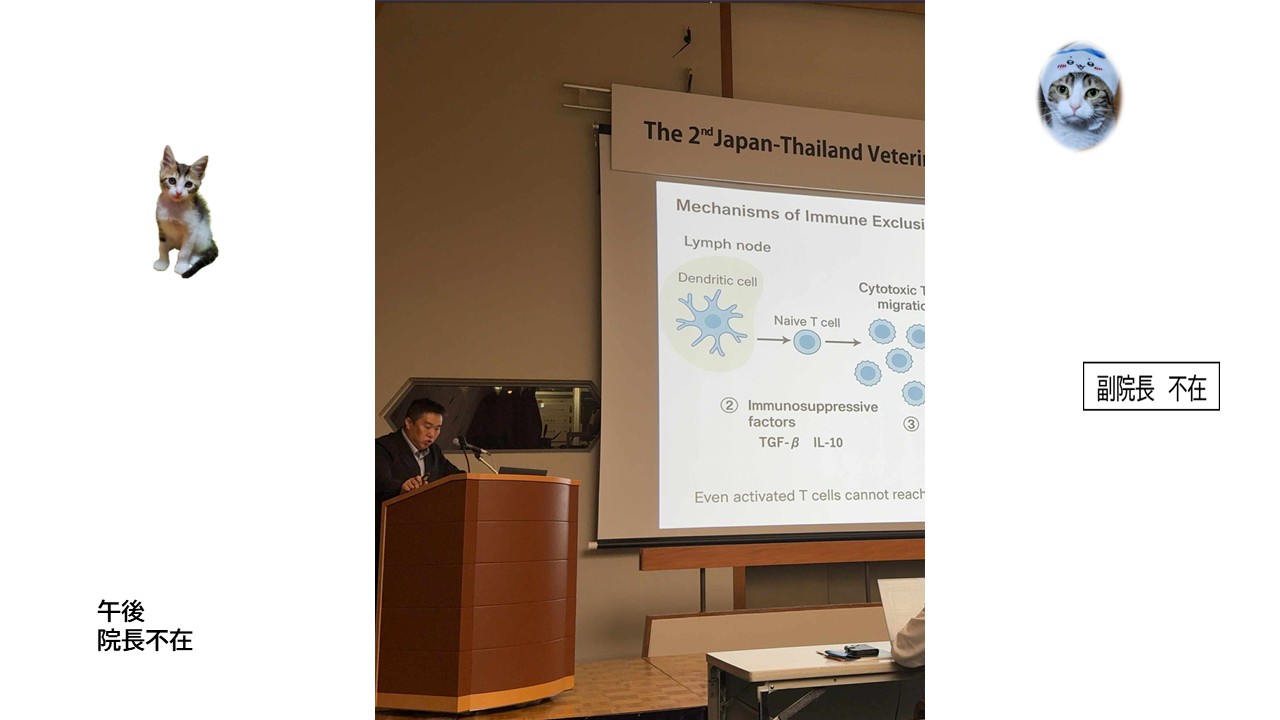 診療カレンダー（JPEG）