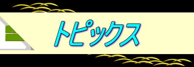 �g�s�b�N�X