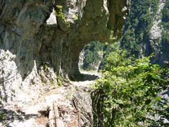 08130020.JPG (23164 �o�C�g)