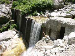 08130029.JPG (22110 �o�C�g)