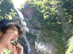 08130030.JPG (18681 �o�C�g)