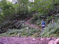 08140003.JPG (22601 �o�C�g)