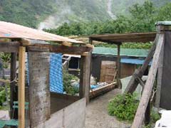 08140013.JPG (17512 �o�C�g)