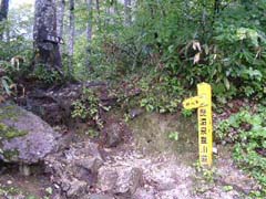 09230007.JPG (22610 �o�C�g)