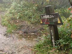 09230008.JPG (19187 �o�C�g)