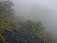 09230009.JPG (6919 �o�C�g)