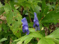 09230010.JPG (16246 �o�C�g)