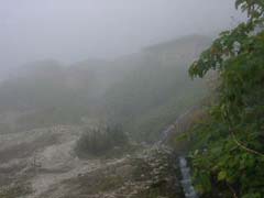 09230022.JPG (7666 �o�C�g)