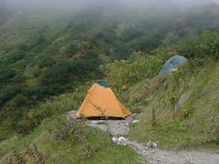 09230026.JPG (12468 �o�C�g)