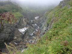 09240002.JPG (16075 �o�C�g)