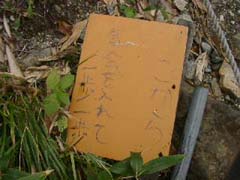 09240005.JPG (15222 �o�C�g)