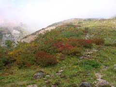 09240007.JPG (12446 �o�C�g)