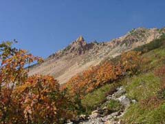 09240010.JPG (15546 �o�C�g)