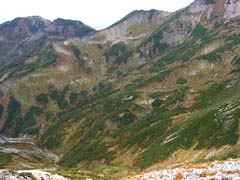 09240026.JPG (16847 �o�C�g)