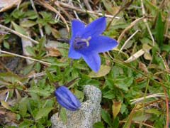 09240031.JPG (21046 �o�C�g)