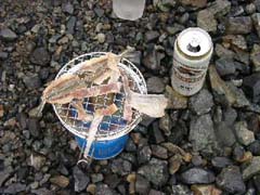 09240039.JPG (21416 �o�C�g)