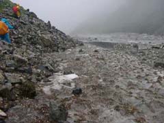 09250012.JPG (14676 �o�C�g)