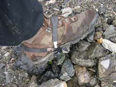 09250014.JPG (18482 �o�C�g)