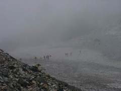 09250017.JPG (6767 �o�C�g)