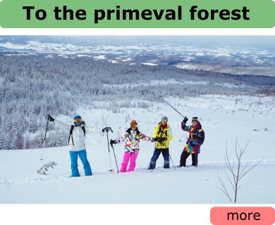 To the primeval forest