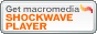 Macromedia Shockwave Player