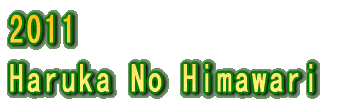 2005 Haruka No Himawari