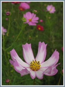 �R�X���X12