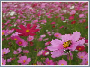 �R�X���X13