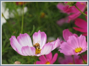 �R�X���X14