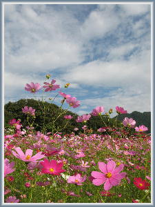 �R�X���X15