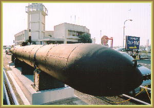 ����s���R�`�E�u�o���̂Ȃ��C�v��V���v���J