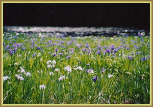 �J�L�c�o�^