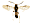 sp4�R�V�z�\�n�o�`