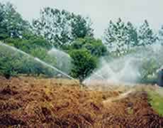 �A�K���N�X��